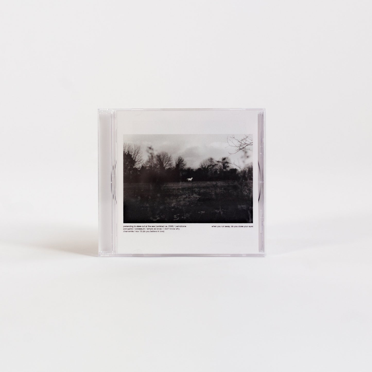 when you run away , do you close your eyes — cd