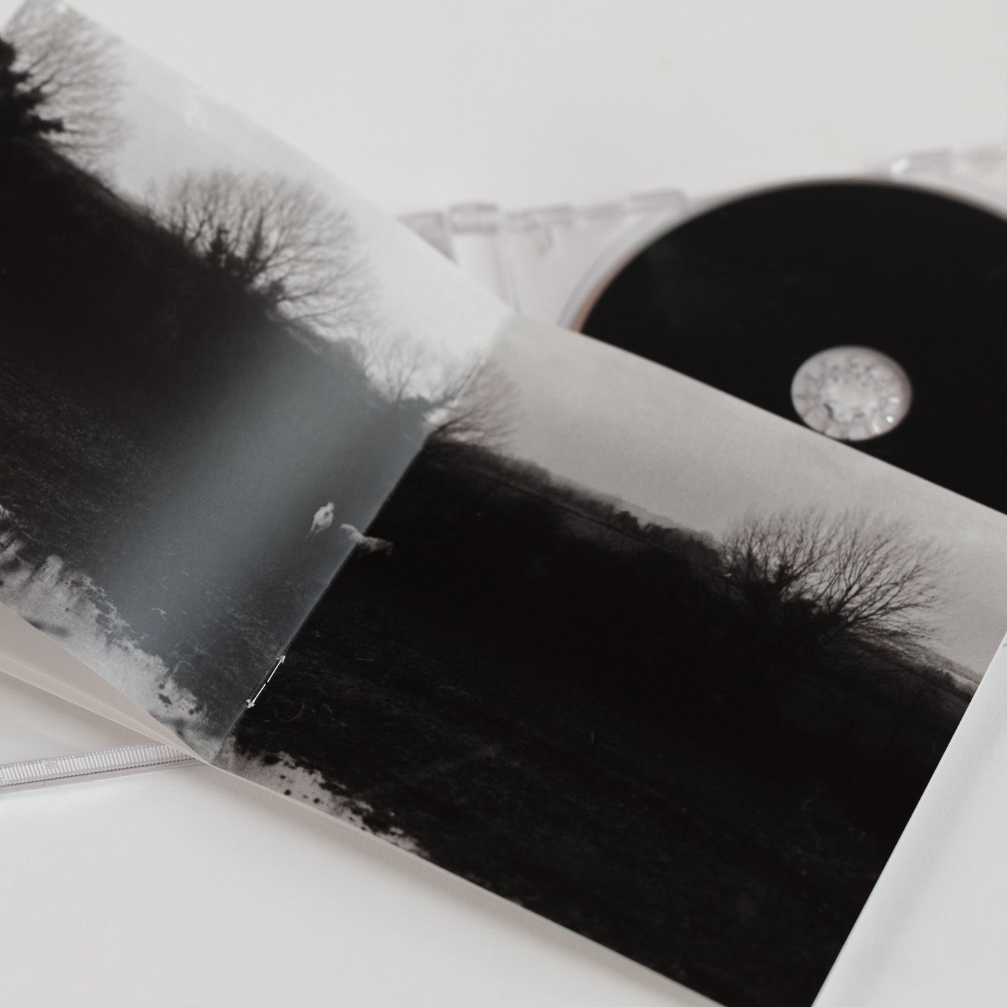 when you run away , do you close your eyes — cd